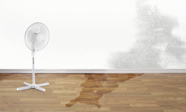 Best Flood restoration services  in Tappan, NY