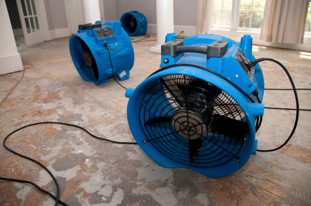 Best Water damage restoration specialists  in Tappan, NY